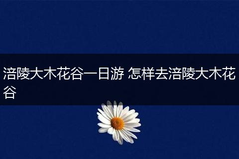 涪陵大木花谷一日游 怎样去涪陵大木花谷