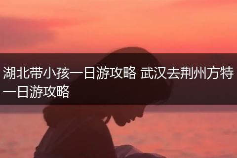 湖北带小孩一日游攻略 武汉去荆州方特一日游攻略