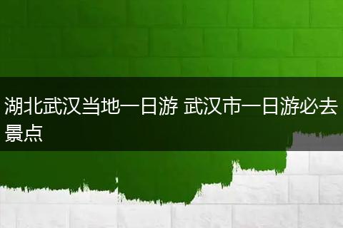 湖北武汉当地一日游 武汉市一日游必去景点