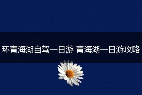 环青海湖自驾一日游 青海湖一日游攻略