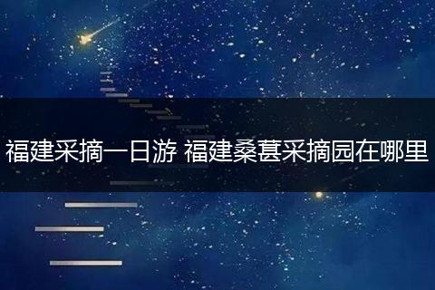 福建采摘一日游 福建桑葚采摘园在哪里