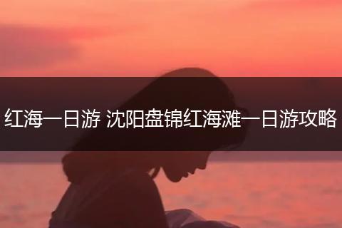 红海一日游 沈阳盘锦红海滩一日游攻略