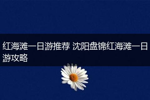 红海滩一日游推荐 沈阳盘锦红海滩一日游攻略