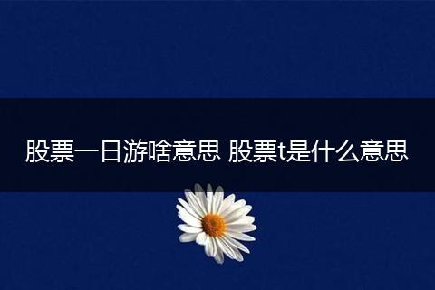 股票一日游啥意思 股票t是什么意思