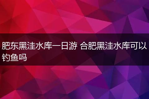 肥东黑洼水库一日游 合肥黑洼水库可以钓鱼吗