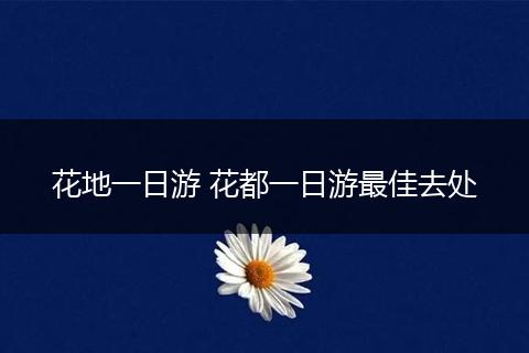 花地一日游 花都一日游最佳去处