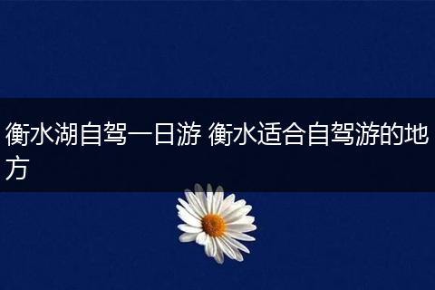 衡水湖自驾一日游 衡水适合自驾游的地方
