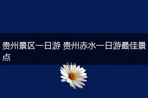 贵州景区一日游 贵州赤水一日游最佳景点