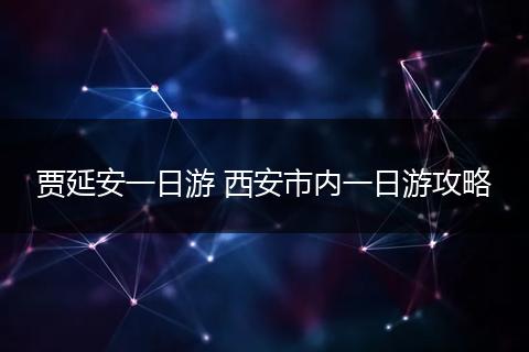 贾延安一日游 西安市内一日游攻略