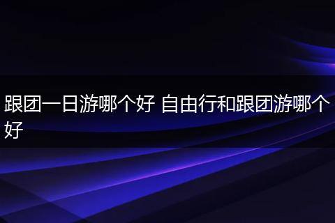 跟团一日游哪个好 自由行和跟团游哪个好