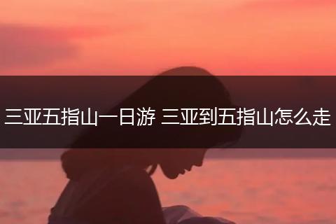 三亚五指山一日游 三亚到五指山怎么走