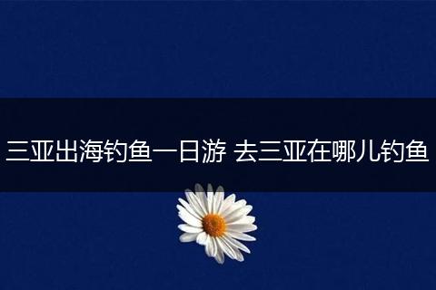 三亚出海钓鱼一日游 去三亚在哪儿钓鱼
