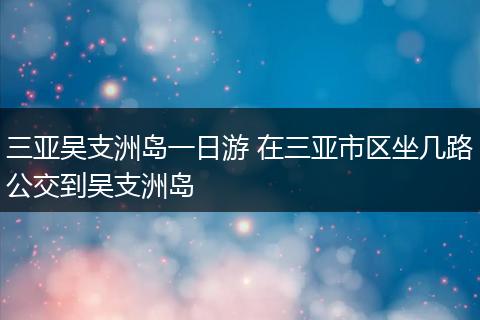 三亚吴支洲岛一日游 在三亚市区坐几路公交到吴支洲岛