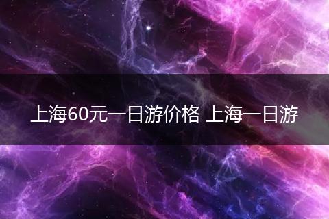 上海60元一日游价格 上海一日游