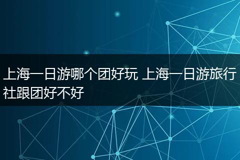 上海一日游哪个团好玩 上海一日游旅行社跟团好不好