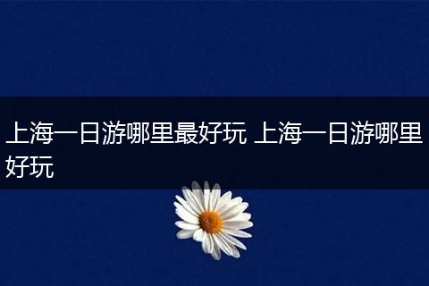 上海一日游哪里最好玩 上海一日游哪里好玩