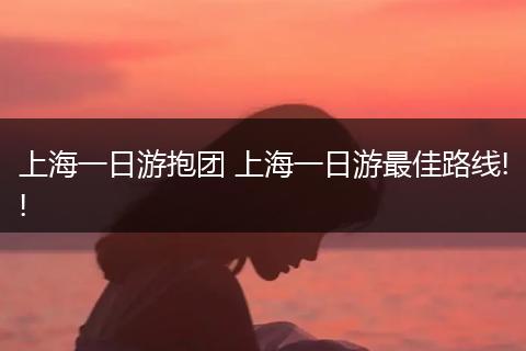 上海一日游抱团 上海一日游最佳路线!!