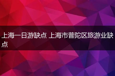 上海一日游缺点 上海市普陀区旅游业缺点