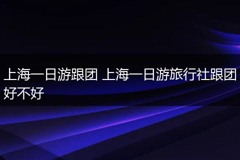 上海一日游跟团 上海一日游旅行社跟团好不好