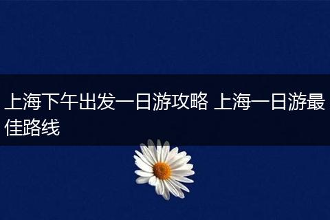 上海下午出发一日游攻略 上海一日游最佳路线