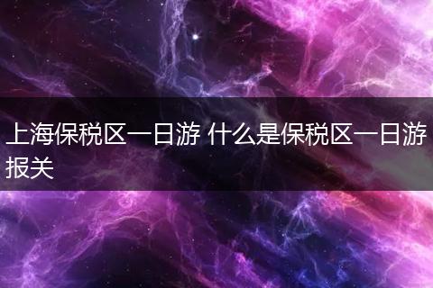 上海保税区一日游 什么是保税区一日游报关