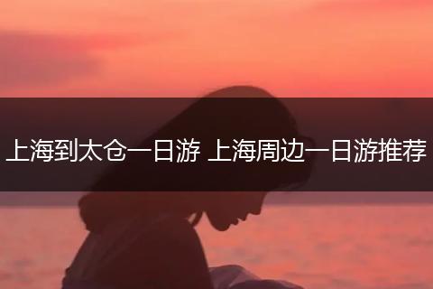 上海到太仓一日游 上海周边一日游推荐