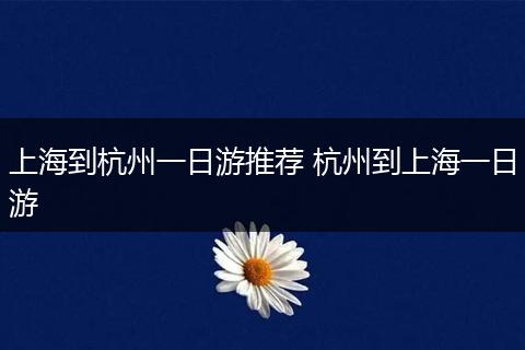 上海到杭州一日游推荐 杭州到上海一日游
