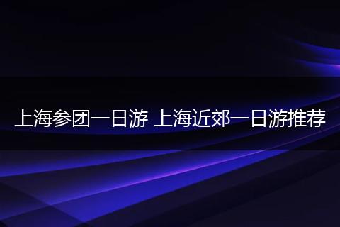 上海参团一日游 上海近郊一日游推荐