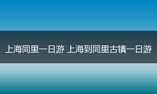 上海同里一日游 上海到同里古镇一日游