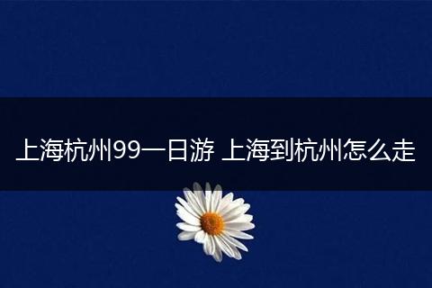 上海杭州99一日游 上海到杭州怎么走