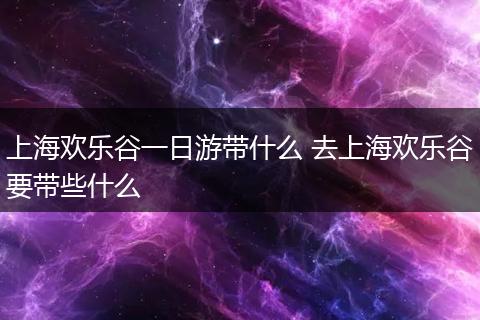 上海欢乐谷一日游带什么 去上海欢乐谷要带些什么