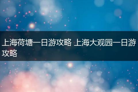 上海荷塘一日游攻略 上海大观园一日游攻略