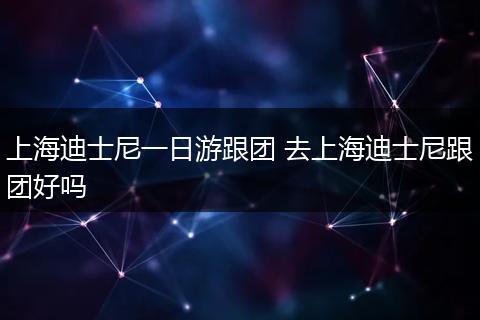 上海迪士尼一日游跟团 去上海迪士尼跟团好吗