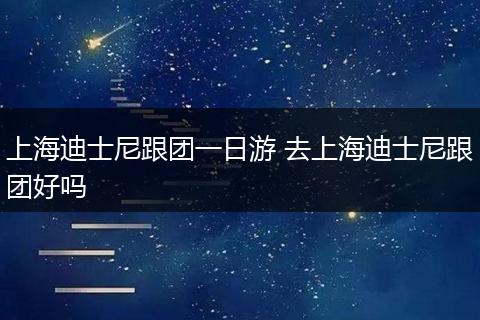 上海迪士尼跟团一日游 去上海迪士尼跟团好吗