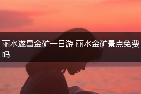 丽水遂昌金矿一日游 丽水金矿景点免费吗