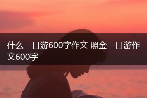 什么一日游600字作文 照金一日游作文600字
