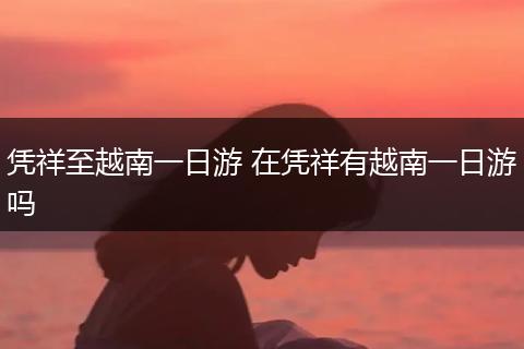 凭祥至越南一日游 在凭祥有越南一日游吗