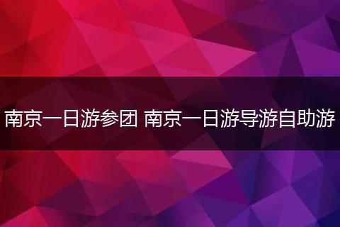 南京一日游参团 南京一日游导游自助游