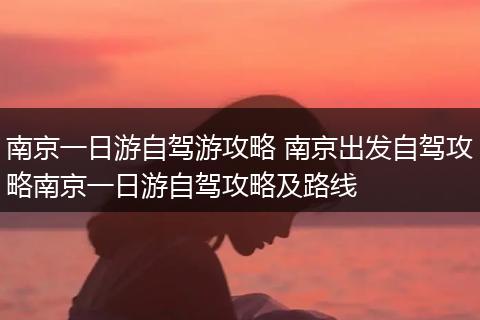 南京一日游自驾游攻略 南京出发自驾攻略南京一日游自驾攻略及路线