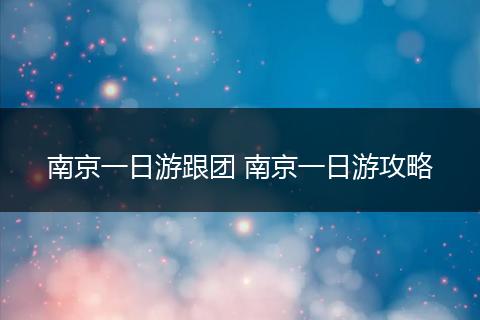南京一日游跟团 南京一日游攻略