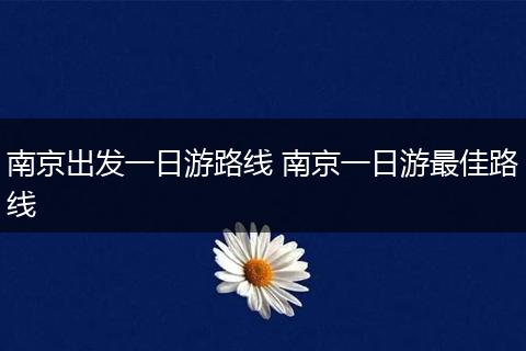 南京出发一日游路线 南京一日游最佳路线