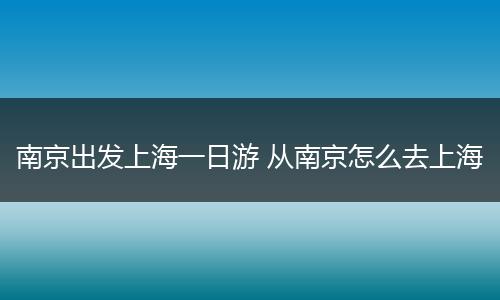南京出发上海一日游 从南京怎么去上海