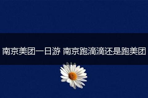 南京美团一日游 南京跑滴滴还是跑美团