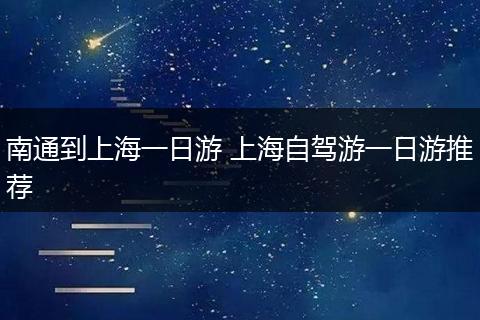 南通到上海一日游 上海自驾游一日游推荐