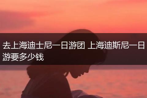 去上海迪士尼一日游团 上海迪斯尼一日游要多少钱