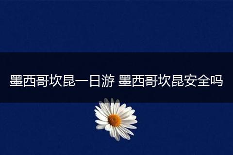 墨西哥坎昆一日游 墨西哥坎昆安全吗