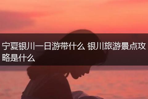 宁夏银川一日游带什么 银川旅游景点攻略是什么