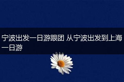 宁波出发一日游跟团 从宁波出发到上海一日游
