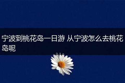 宁波到桃花岛一日游 从宁波怎么去桃花岛呢