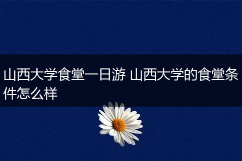 山西大学食堂一日游 山西大学的食堂条件怎么样